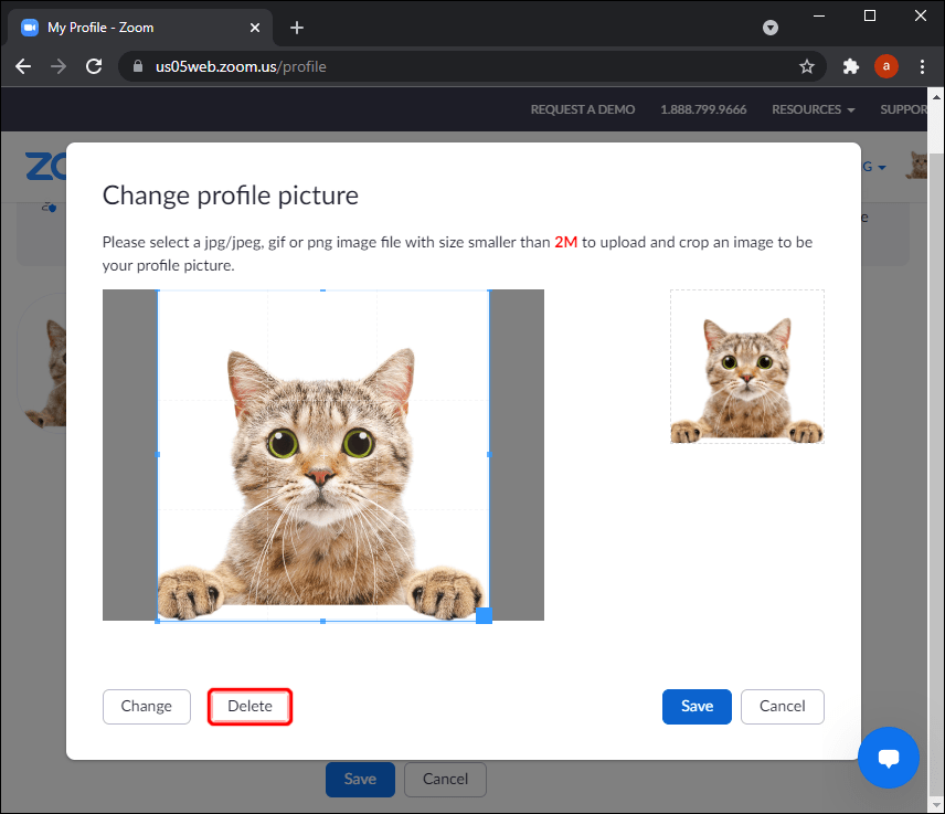 5 10 3 Comment supprimer une photo de profil Zoom