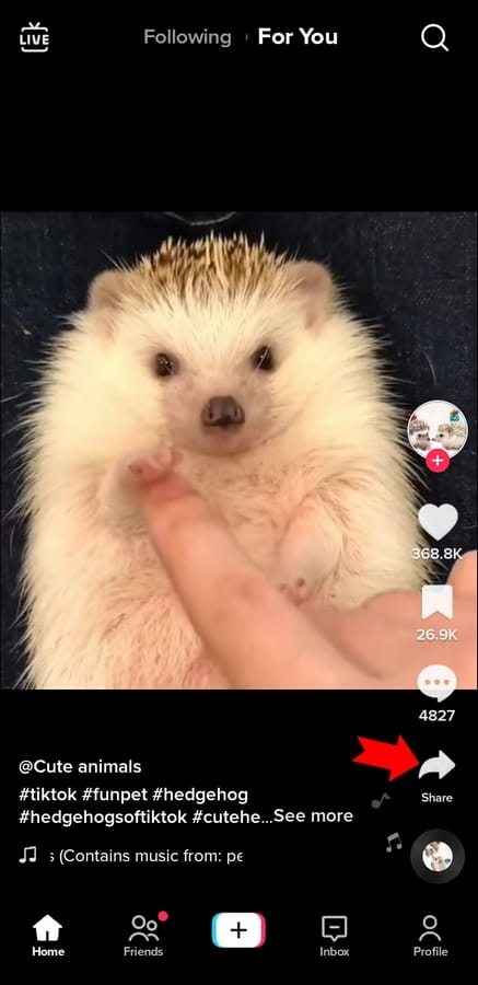 628fe063e29a3 صوت تيك توك لا يعمل - إصلاحات لنظامي أندرويد و آيفون