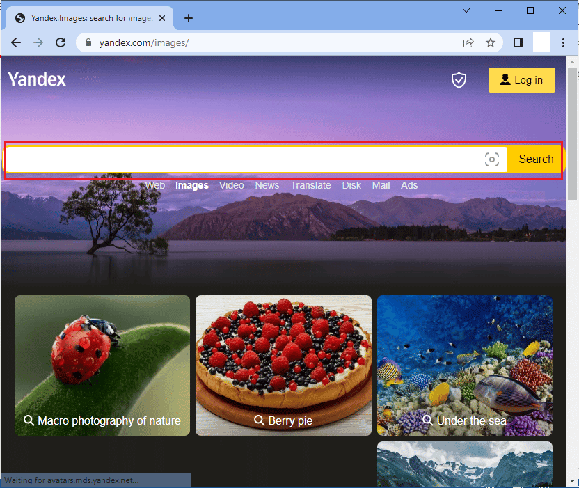 يمكنك رؤية شريط البحث