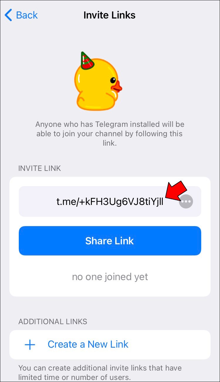Comment créer un lien vers un groupe dans Telegram ? 12 How to Create a Link in Telegram on an iPhone 13 1 Comment créer un lien vers un groupe dans Telegram ?