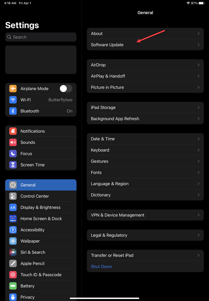 FaceTime Fotoğraflarının Kaydedilmemesi Nasıl Giderilir? 5 Then tap Software update