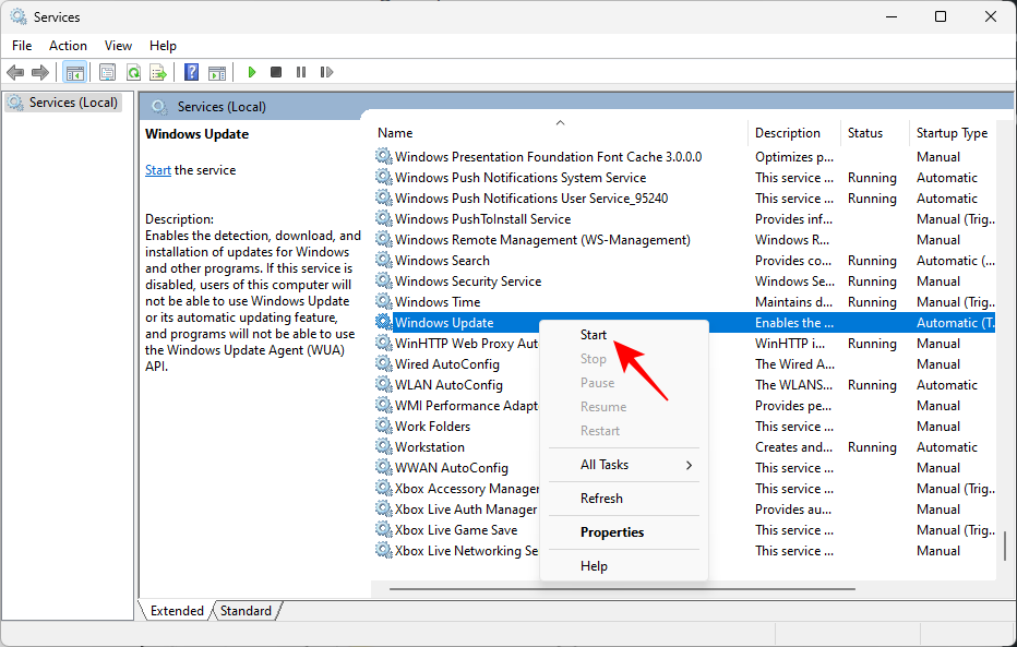 download error win 11 32 7 طرق لإصلاح "خطأ التنزيل 0x80248007" على نظام التشغيل ويندوز [دليل خطوة بخطوة]