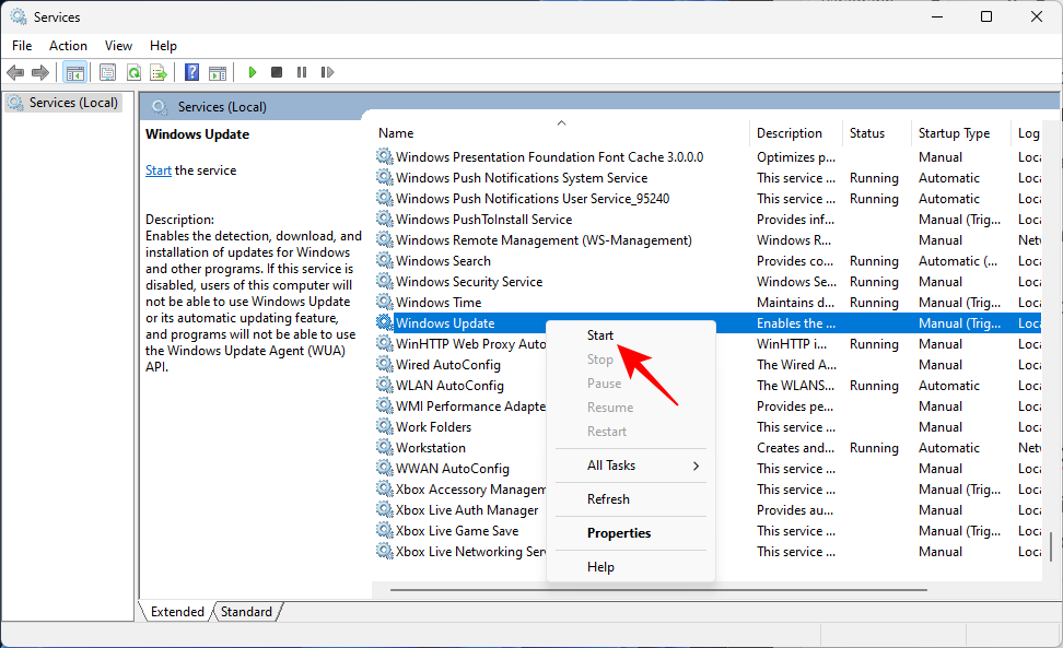 download error win 11 8 7 طرق لإصلاح "خطأ التنزيل 0x80248007" على نظام التشغيل ويندوز [دليل خطوة بخطوة]
