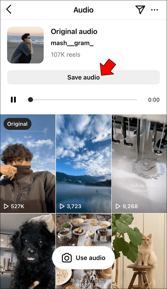 حل مشكلة عدم توفر الأغنية في انستقرام ريلز 17 iOS 3 حل مشكلة عدم توفر الأغنية في انستقرام ريلز