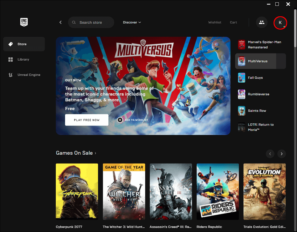 z5 3 1 Epic Games'te Çevrimdışı Görünme