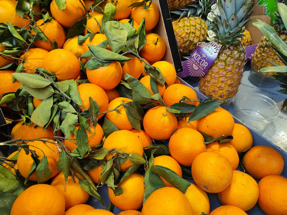 Poco X5 Pro 5G Review: Well-Equipped and High-Performance 57 poco x5 pro 5g photo de jour grand angle 02 copie Poco X5 Pro 5G Review: Well-Equipped and High-Performance